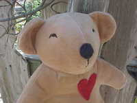 Bear Friend Forever